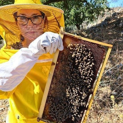 Cretan bees.