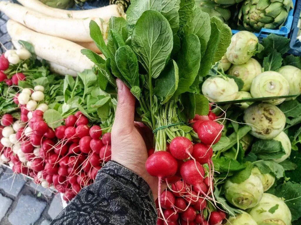 Cretan radishes 