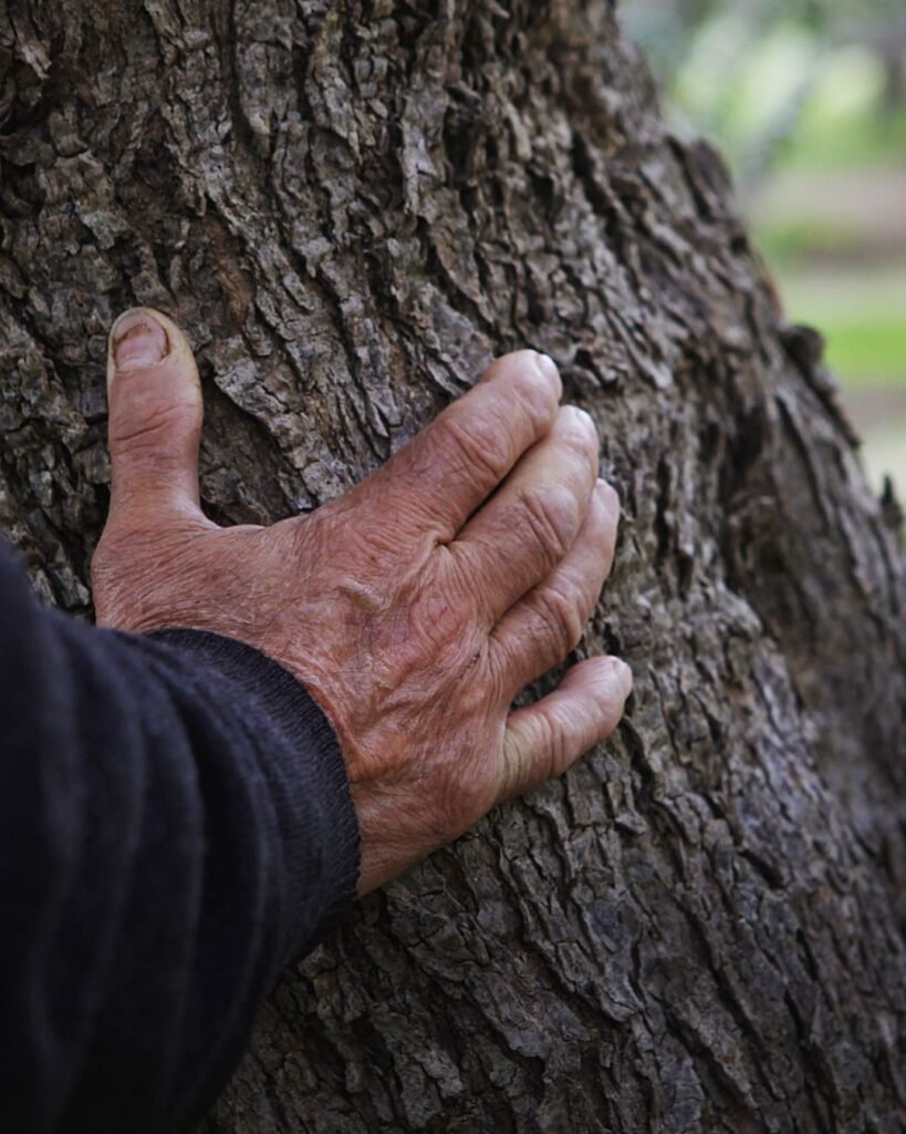 In Crete, olive oil isn't just produced, but revered. 