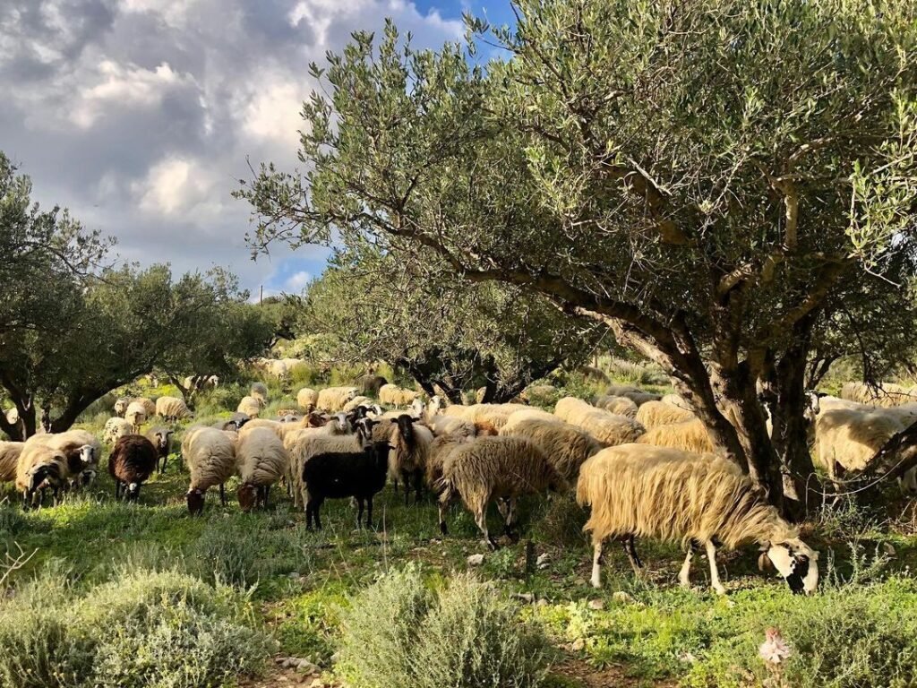 Life in Crete as a second home