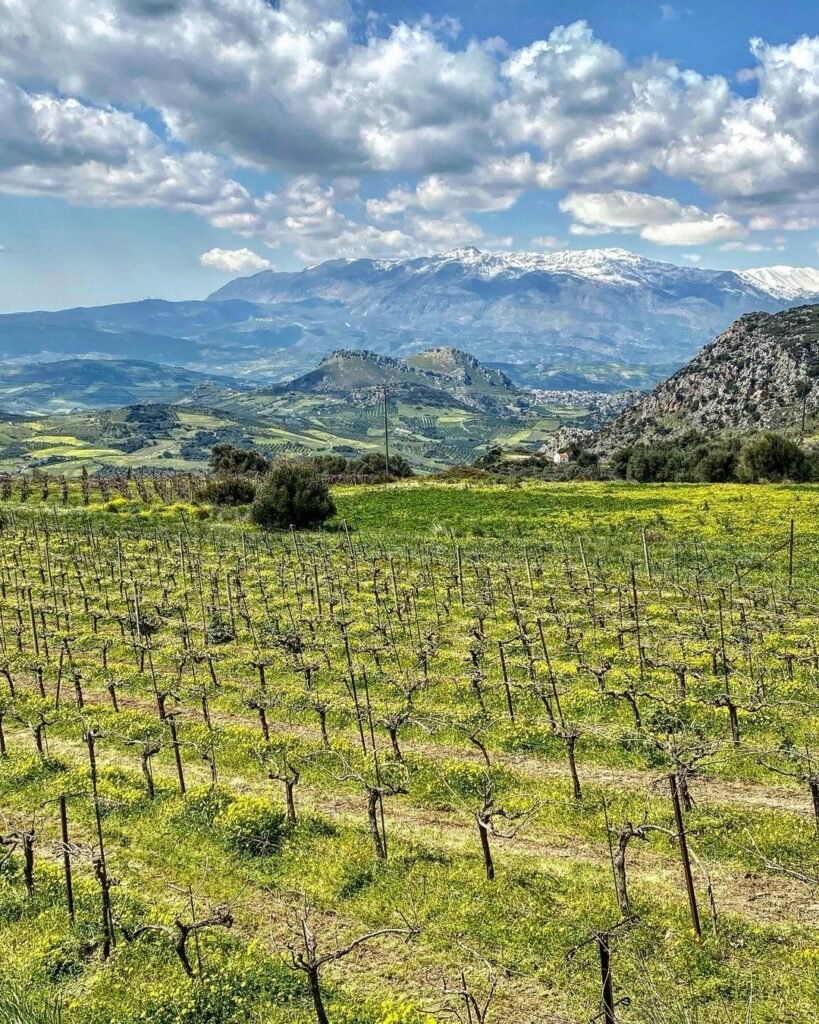 Psiloeritis, also known as Mount Ida, is the highest mountain on the island of Crete. 