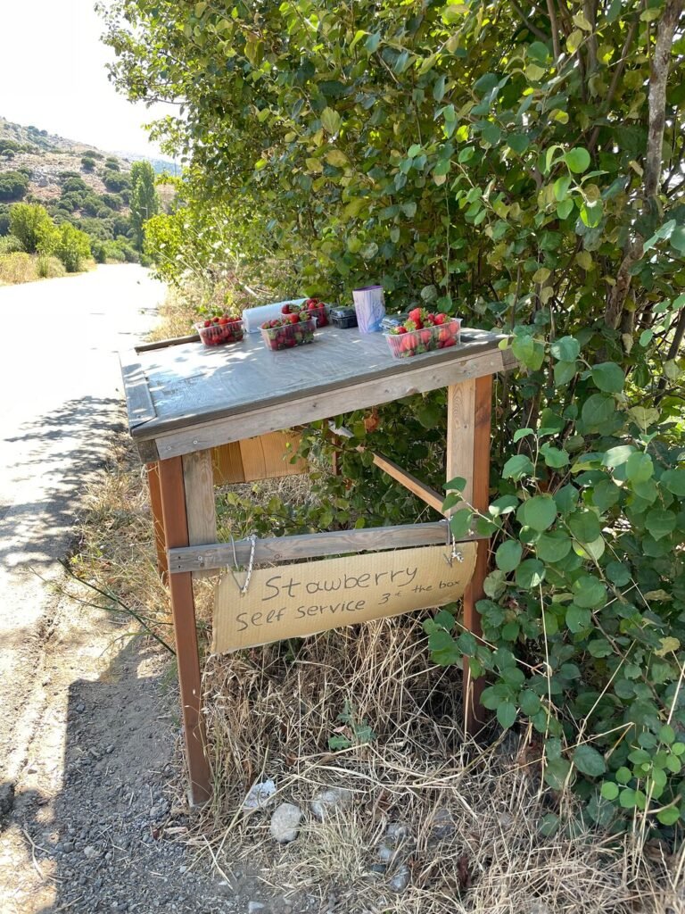 A charming self-service strawberry stall in Lasithi, Crete, invites passersby to enjoy the sweet taste of local produce. With fresh strawberries priced at just 3 euros per box, it’s a simple yet delightful reminder of Crete’s countryside hospitality.
