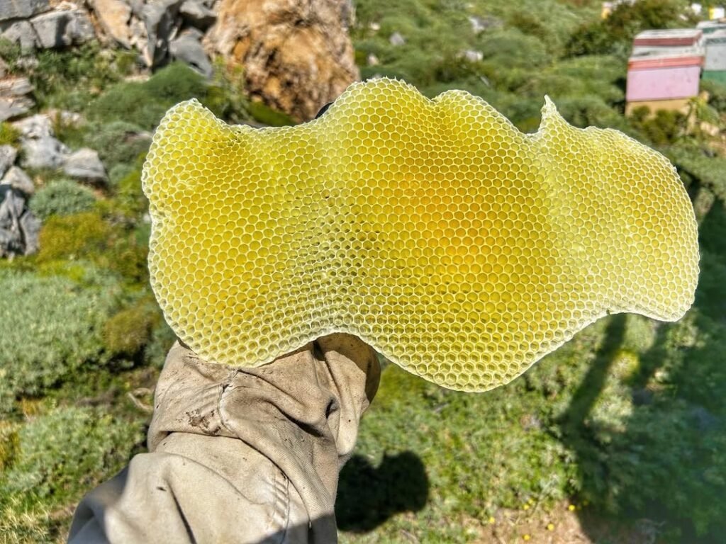 Cretan honeycomb by Fragiadakis Family. 