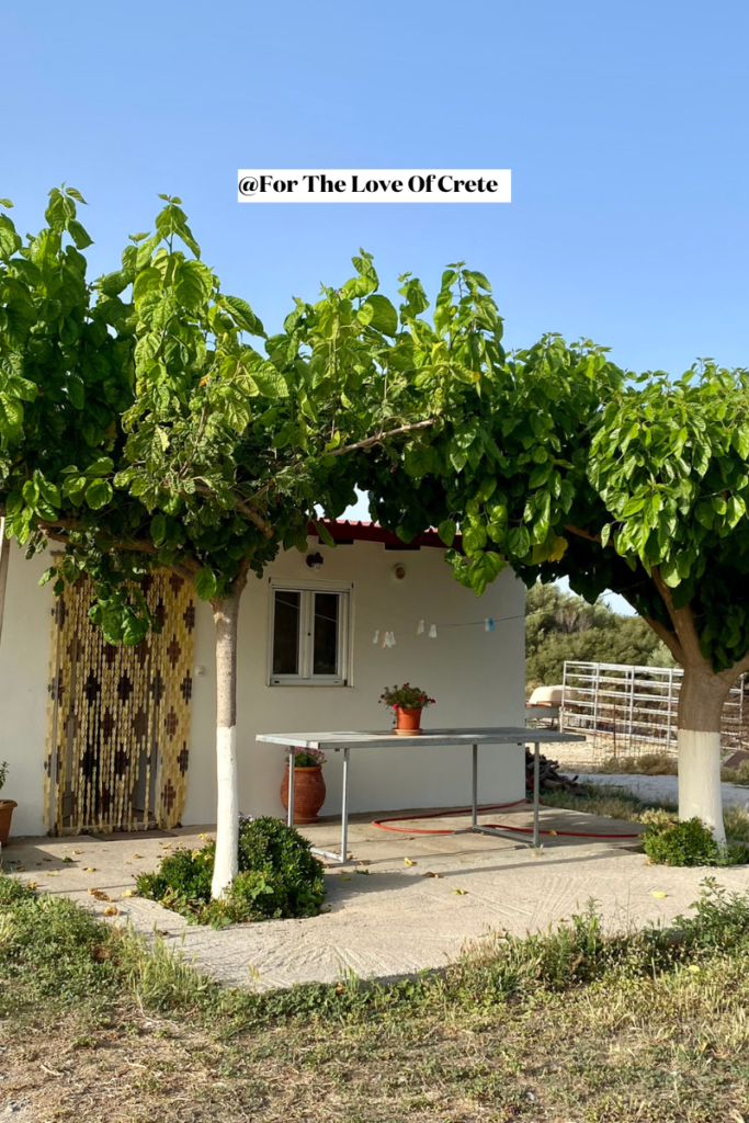 A simple curtain serves as a door during the day in this family home at the Rethymno cheese farm - a physical embodiment of the open-door culture that defines Cretan family life.