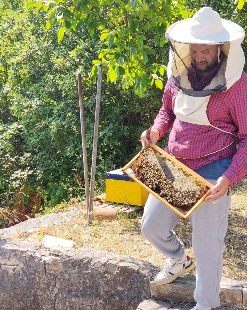 Pine honey by Koukounaraki Skiathos. 