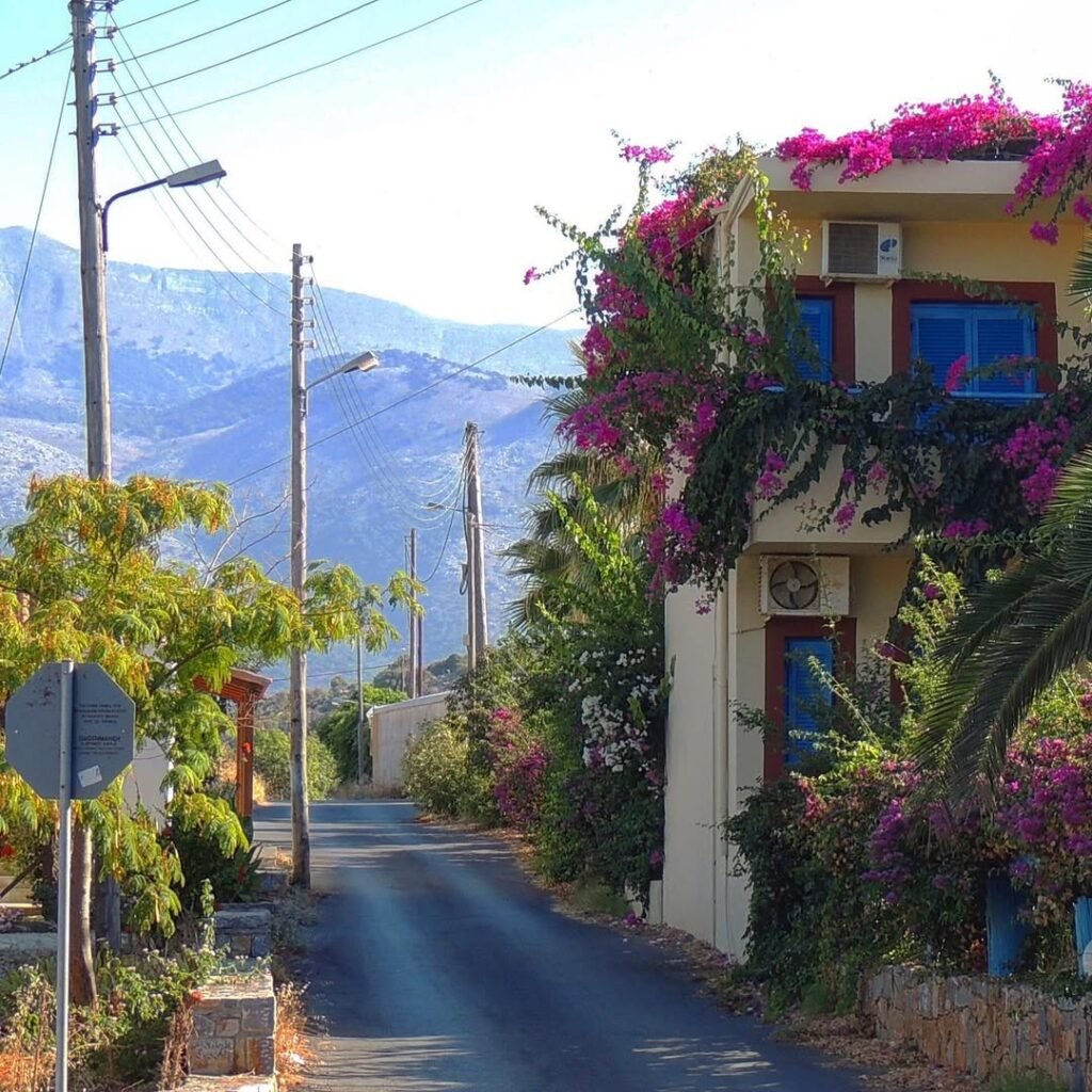 A charming house draped in bougainvillea in the heart of Malia, Crete, Greece, with the majestic mountains in the background. 