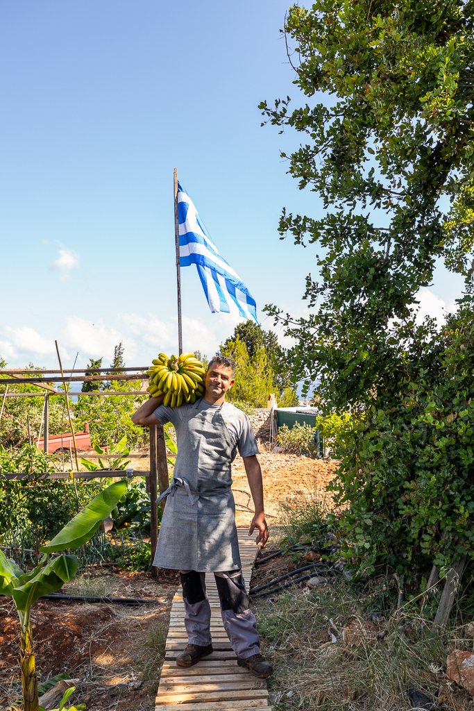 A proud Cretan farmer carrying freshly harvested bananas as part of the Phāea Farmers Program in Crete, promoting sustainable and local agriculture. 