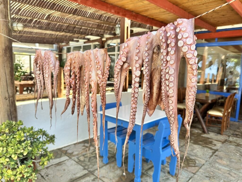 Fresh octopus drying in the sun at Thalami in Sfinari, Kissamos.