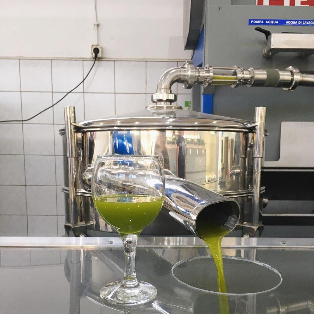 Early harvest extra virgin Cretan olive oil, Agoureleo, at Efkrato, Rethymno.