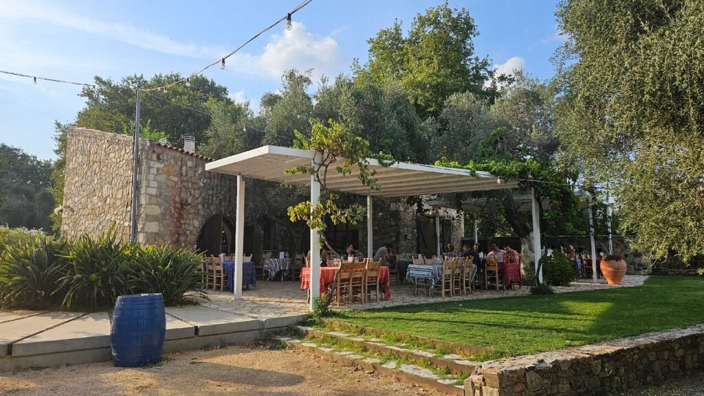 Dine under the olive trees at Manousakis Winery, where organic wines meet farm-to-table Cretan cuisine.