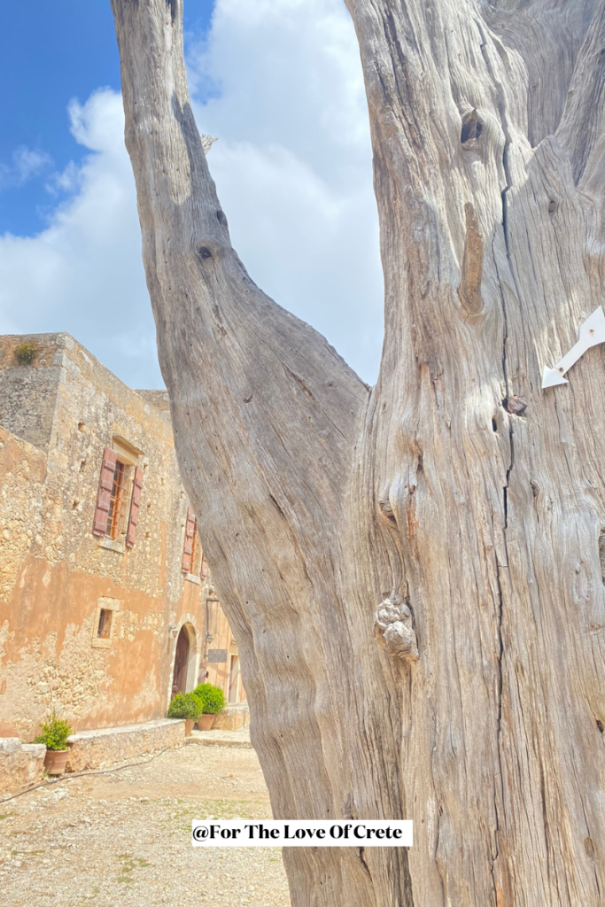 Look closely and you’ll see the bullet holes left in the monastery’s cypress during the battle for Arkadi.

