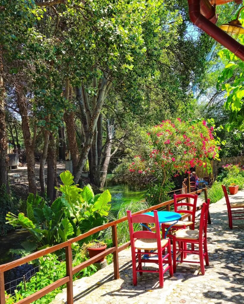 Start your day the Cretan way—with coffee, conversation, and a view like this at the riverside café Potamos in Kalyves. Where village life flows as gently as the river beside you. 