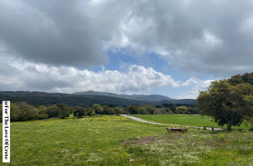 The road to Arkadi Monastery takes you through peaceful countryside and mountain views. Just 30 minutes from Rethymno. 