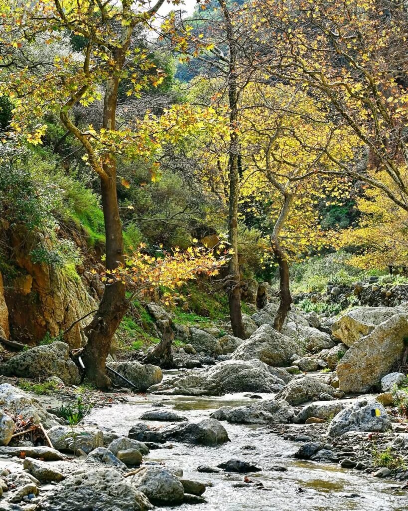 Topolia Gorge in its autumn glow—where myths linger among golden leaves and ancient rock formations. A must-see on any Crete road trip through the island’s dramatic southwest.