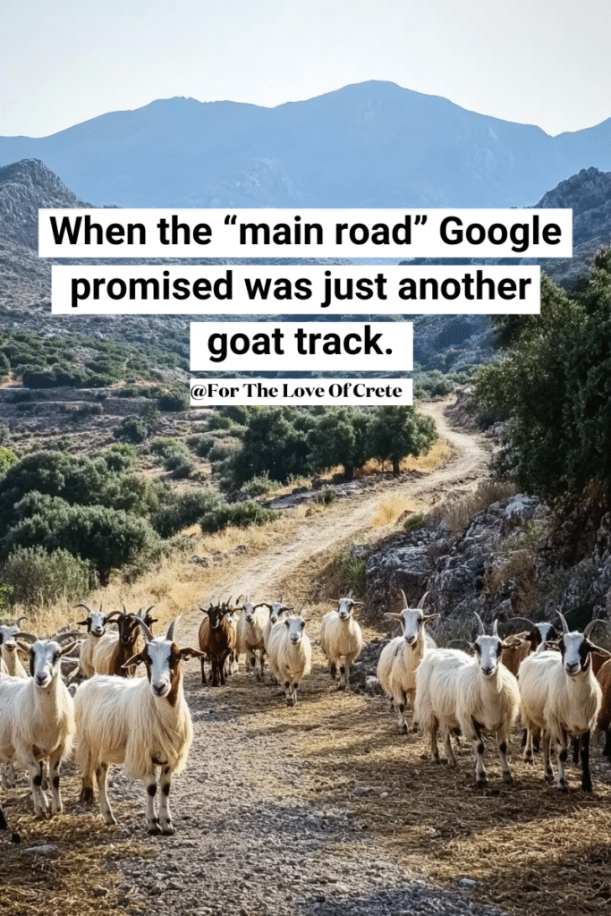 When the "main road" Google promised was just another goat track.