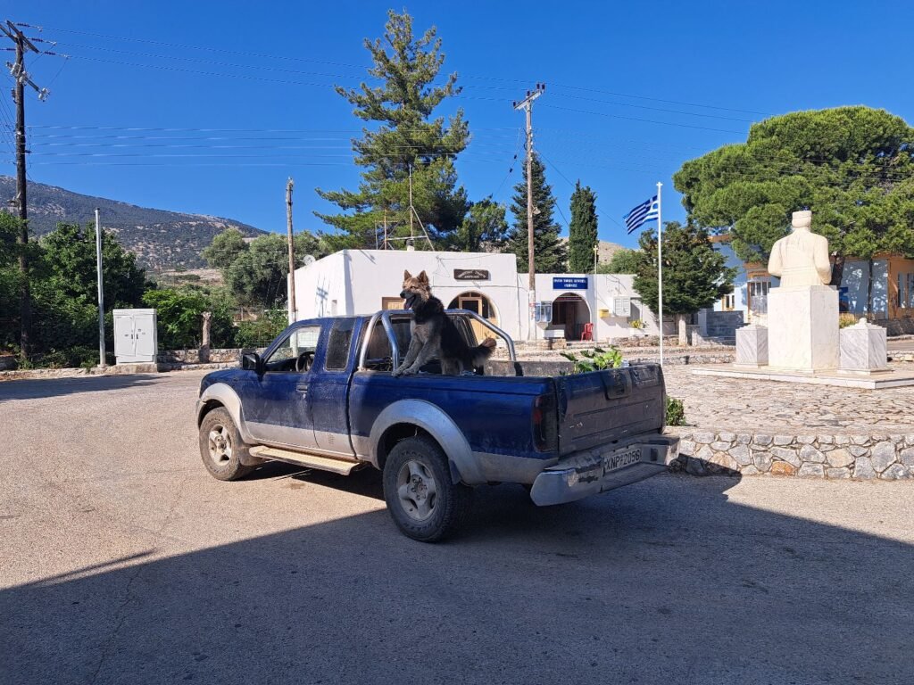 Expect the unexpected when driving in Crete - like finding the island's most serious four-legged security guard on duty. This pickup truck clearly has the best anti-theft system money can buy!