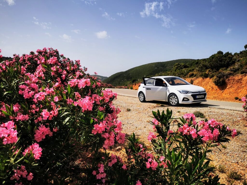 When driving in Crete, especially in rural areas like this, don't hesitate to pull over and soak in the stunning scenery. A small car (like this one) makes it easy to stop safely and navigate those narrow mountain roads with confidence.