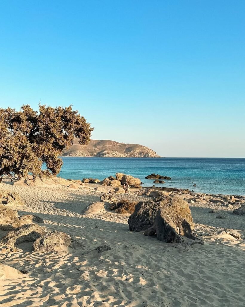 Ancient juniper trees frame the pristine white sands of Kedrodasos Beach, one of the hidden beaches in Crete that rivals the famous Elafonissi with its untouched natural beauty. This secluded gem proves that sometimes the best discoveries are found just moments away from the crowds.