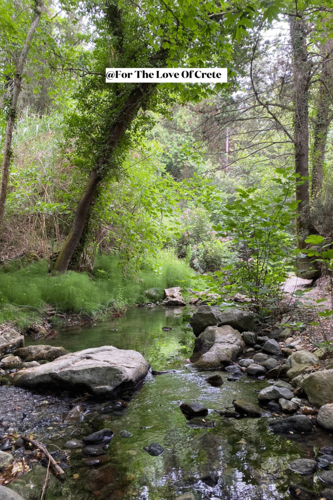While Crete's mountain streams look pristine, stick to established village fountains and treated tap water in Crete for safe drinking—natural doesn't always mean safe.