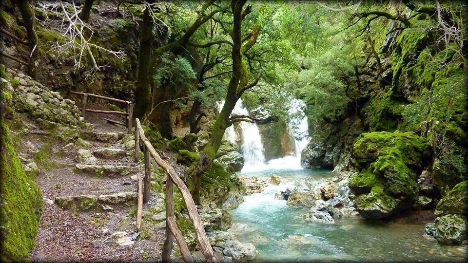 A lush path leads to the crystal-clear waters near Lake Zaros.
