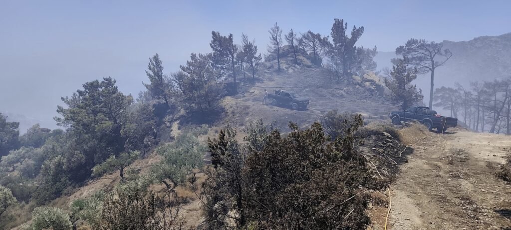The aftermath of the Crete fires on July 4th, 2025, shows the scorched landscape in southeastern areas near Ierapetra. Emergency vehicles remain positioned throughout the burned terrain as cleanup and assessment operations continue. 