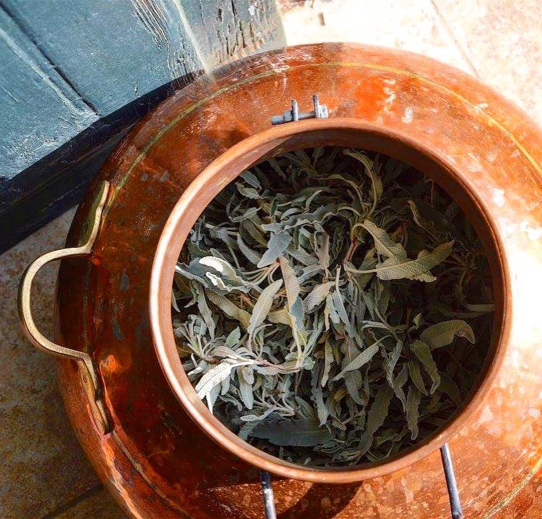 Sage (faskomilo) in a traditional copper pot, ready to be used in Cretan cooking and herbal remedies. 