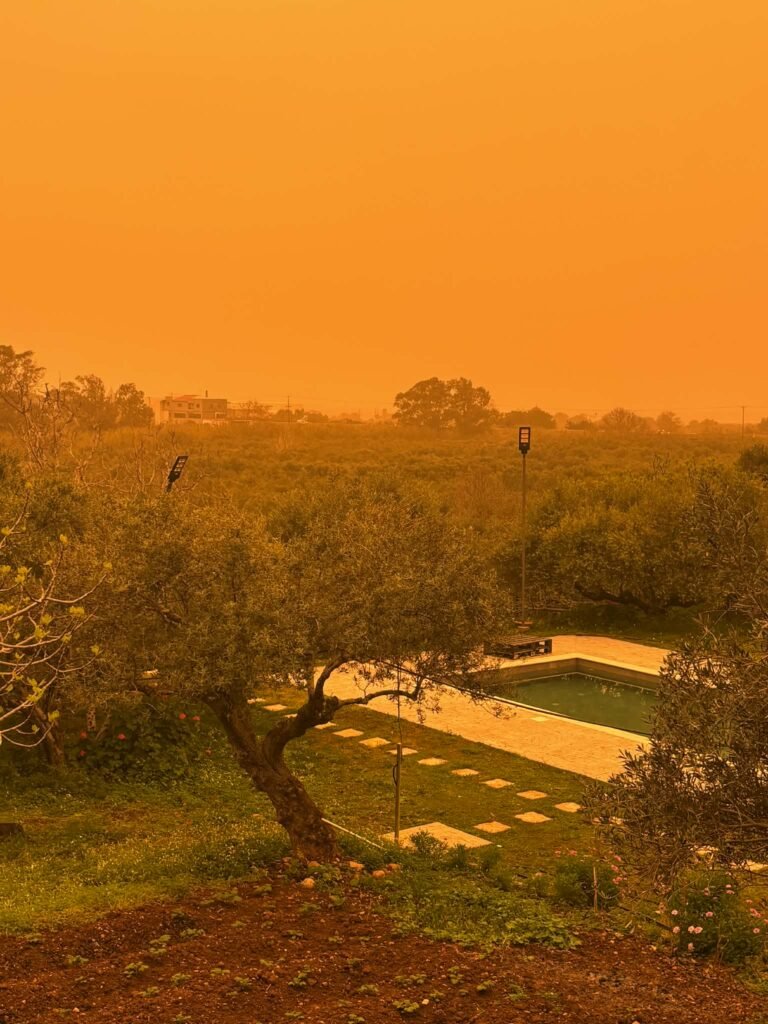 Kissamos wrapped in Saharan dust, with olive groves and a pool under an intense orange sky on 1 April 2026. Photo: Mel Mizzi Demajo.