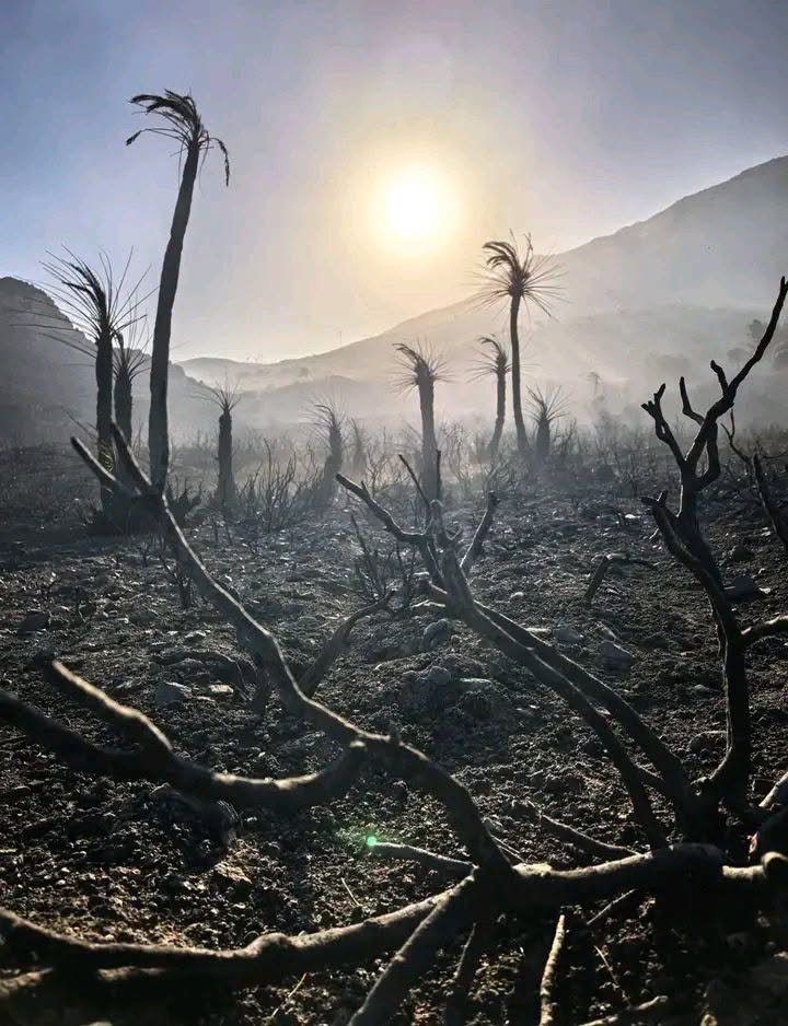 Wildfires, Rethymno, Crete. July 2026.